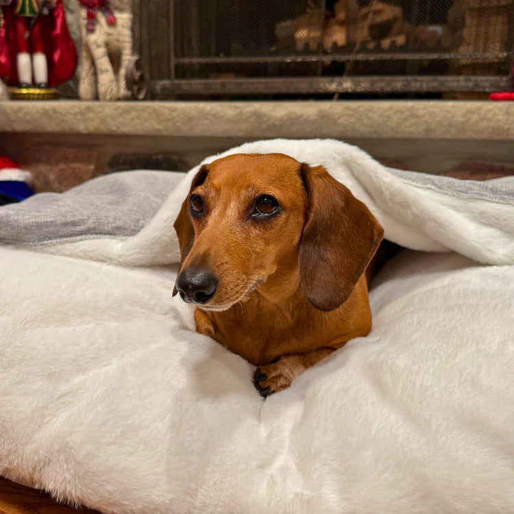The Snuggle Bed™