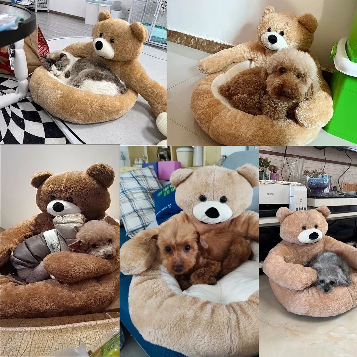 BearHug™