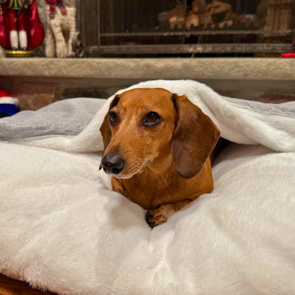 The Snuggle Bed™