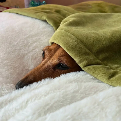 The Snuggle Bed™