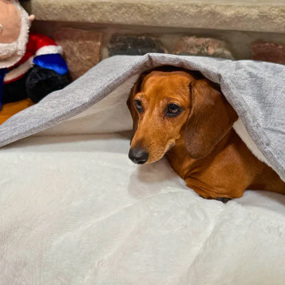 The Snuggle Bed™