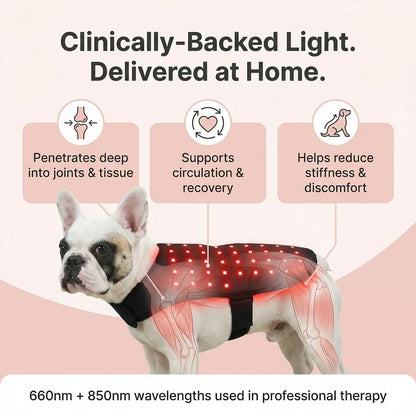 RedPaw Therapy™
